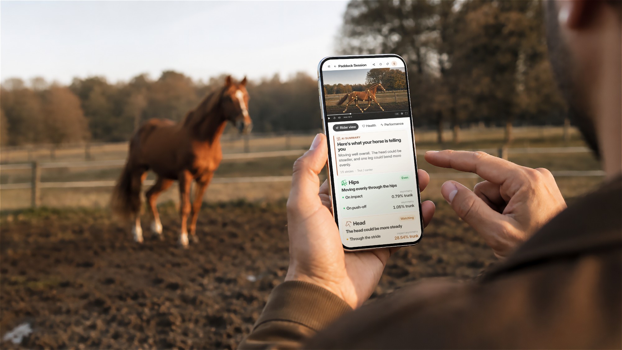 A hand holding a phone in a paddock, the Alendis result on screen with keypoint lines tracked over the horse, a loose horse standing behind